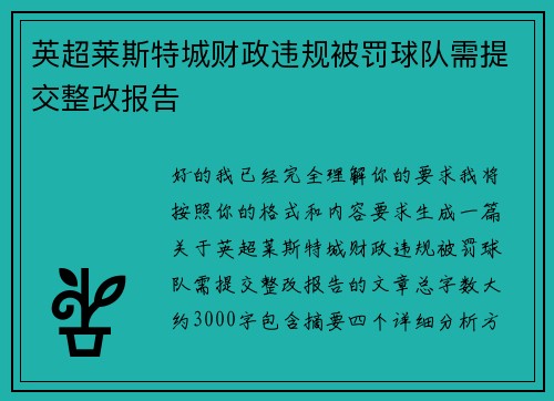 英超莱斯特城财政违规被罚球队需提交整改报告