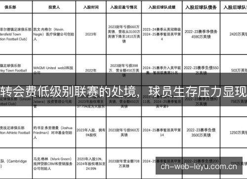 转会费低级别联赛的处境，球员生存压力显现